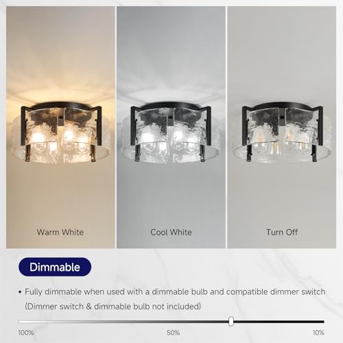 Semi Flush Mount Ceiling Light