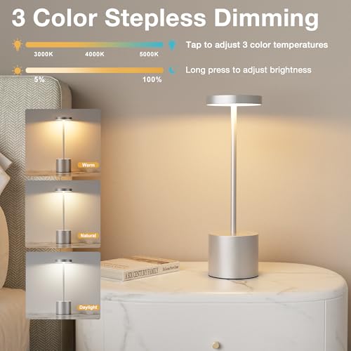 Silver Gray Cordless Lamp Set (2 Count)