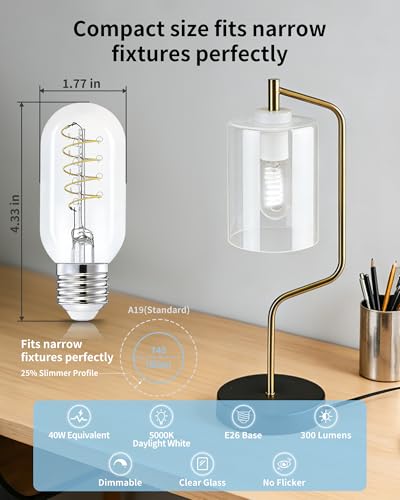 T45 Daylight Edison Bulbs (4 Count)