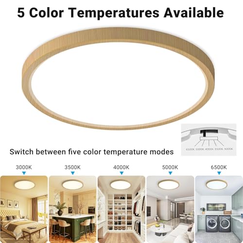 LED Flush Mount Ceiling Light