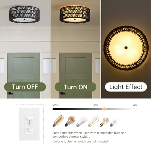 15.7" Black Flush Mount Ceiling Light