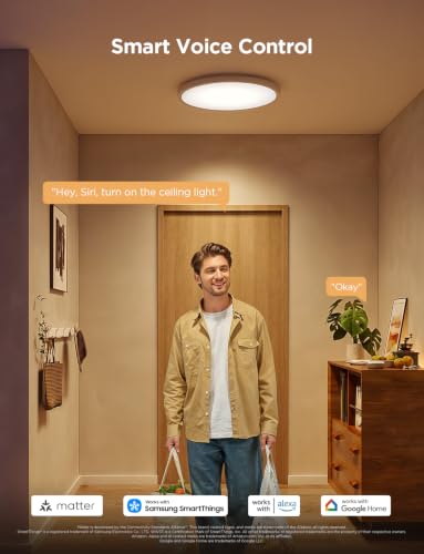Smart Ceiling Light