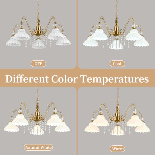 5 Light Vintage Chandelier in Brushed Gold Finish with Flower (5-Light / Gold and White)