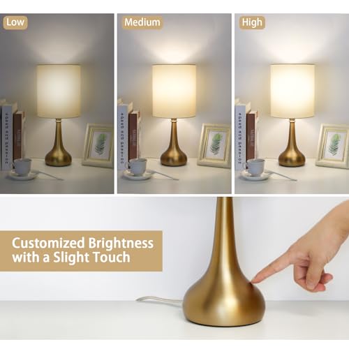 Set of 2 Bedside Touch Lamps (2 Count)