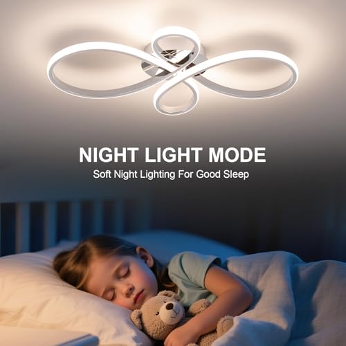Modern LED Ceiling Light