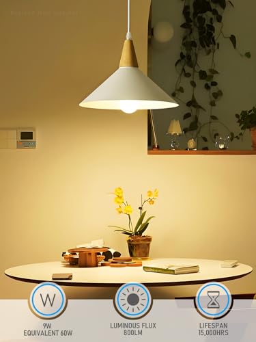 6 Pack A19 LED Light Bulb 60W Equivalent (6 Count)