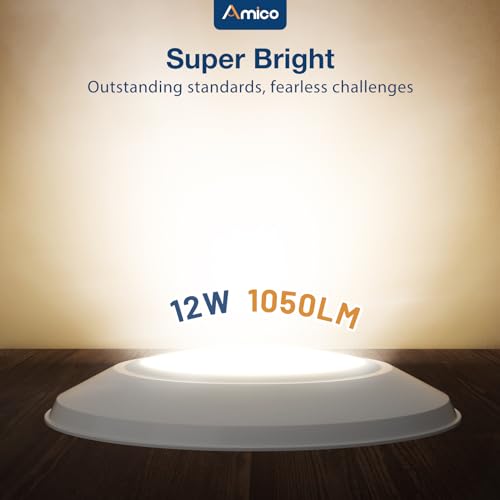 48 Pack 5 6 Inch LED Disk Lights (48 Count)