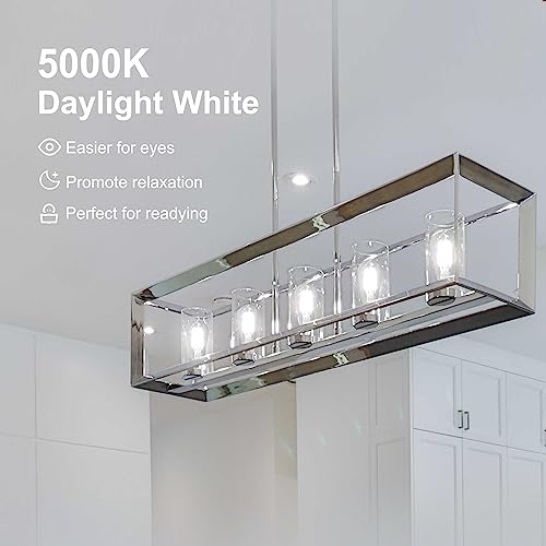 4 Pack Edison LED Light Bulbs (4 Count)