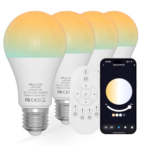 LED Remote Control Light Bulbs 60 Watt Equivalent (4 Count)