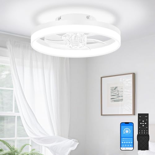 13 inch Small Ceiling Fans with Lights and Remote