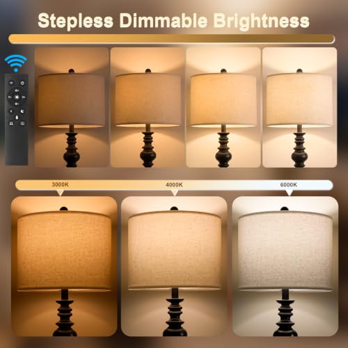 64.25" Farmhouse Floor Lamp with Remote (Dark Black)
