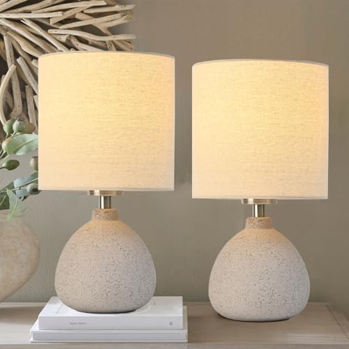 Earth Brown Rustic Ceramic Table Lamp Set of 2