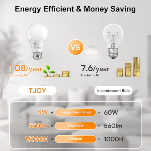 A19 LED Light Bulbs (24 Count)