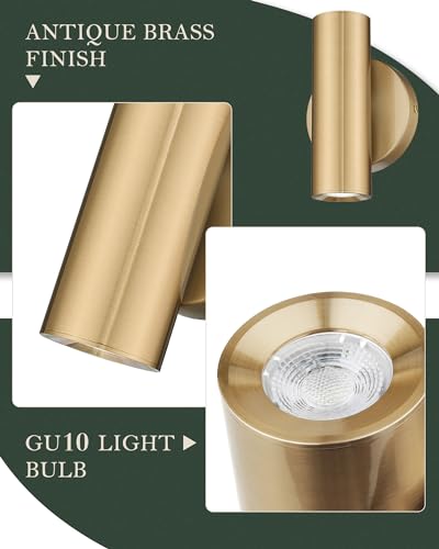 1 Light Wall Sconce