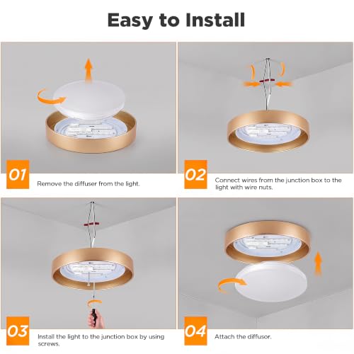2 Pack Flush Mount Ceiling Light (Gold)