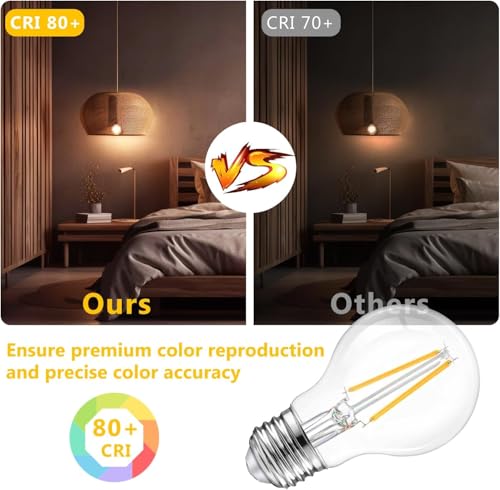 12 Pack A19 Vintage LED Edison Bulbs (12 Count)