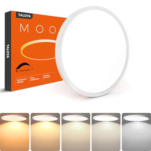 Dimmable Flush Mount Ceiling Light