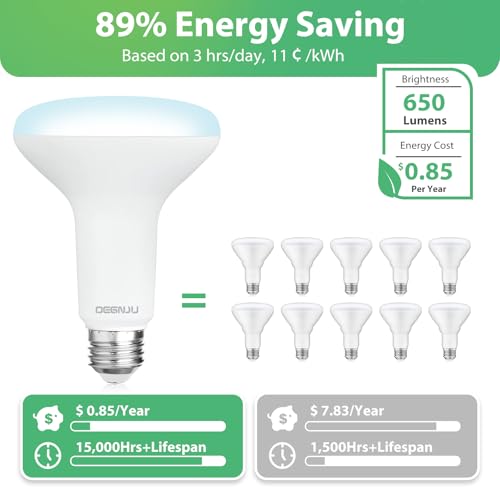 12 Pack BR30 LED Recessed Light Bulb (12 Count)