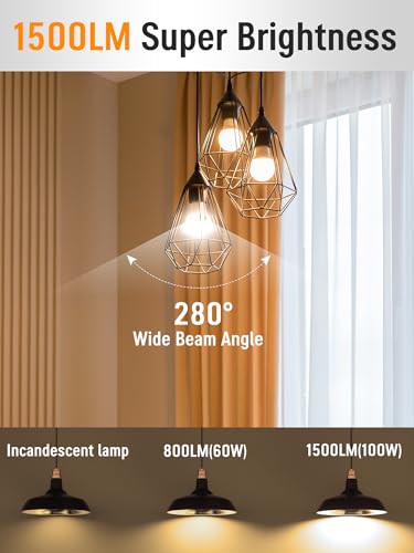 12 Pack LED Light Bulbs 100 Watt Equivalent (12 Count)
