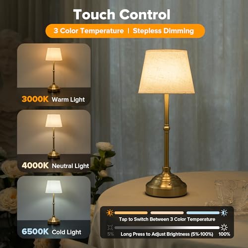 Cordless Table Lamp