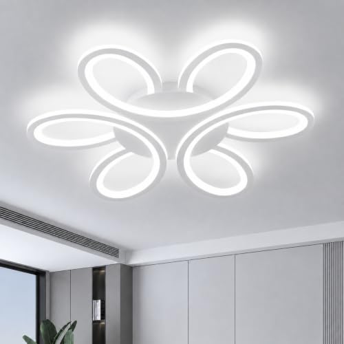 Modern LED Ceiling Light