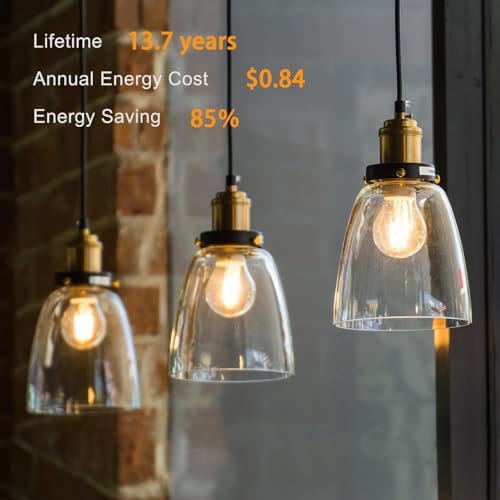 A19 LED Edison Light Bulb (6 Count)