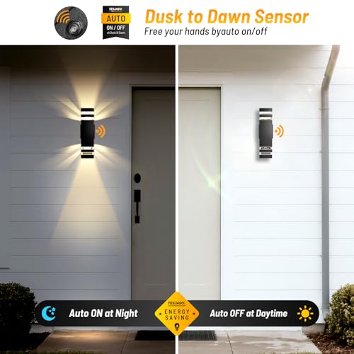 Outdoor Wall Sconce 2 (2 Count)