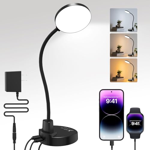 15W LED Desk Lamp with USB Charging Ports