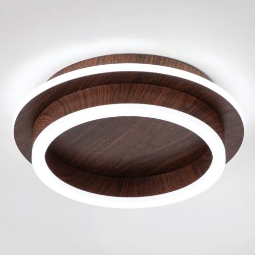 Round Modern Led Ceiling Light Fixture
