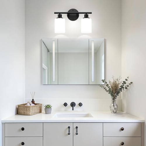 2 Light Bathroom Light Fixtures