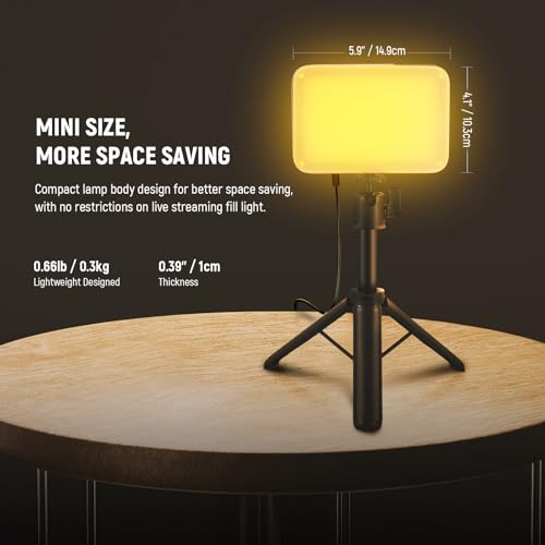 BASICS 2 Pack LED Video Panel Light