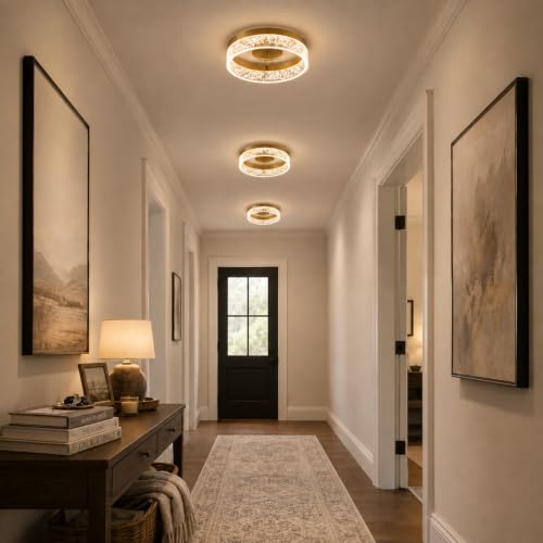 Modern LED Ceiling Light Fixture