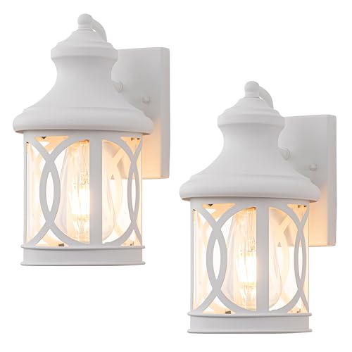 2 Pack Outdoor Wall Lights (2 Count)