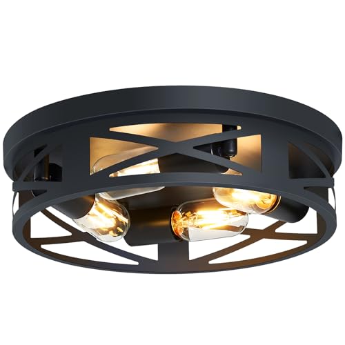 Flush Mount Ceiling Light Fixture