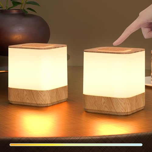 2 Pack Rechargeable Small Night Light Touch Dimmable Cordless Lamp (2 Count)
