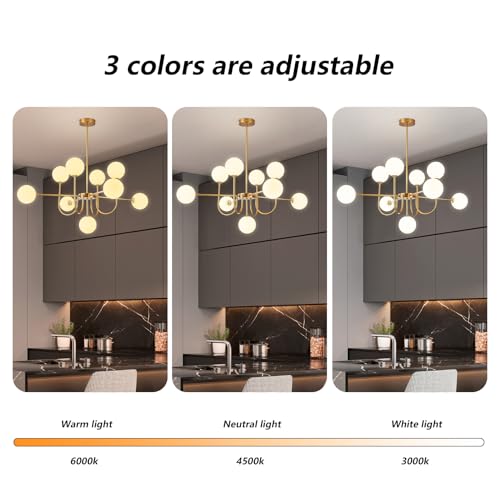 Modern Gold Chandelier Light Fixture 9