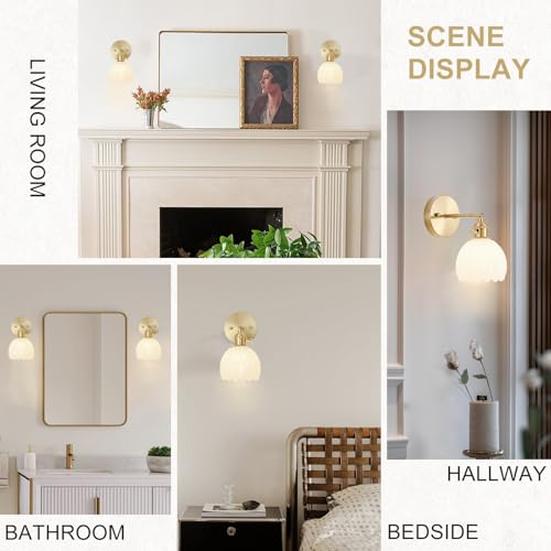 Hardwired Wall Sconce Light