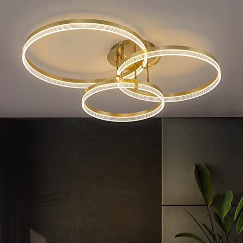 Chaners Ceiling Light Acrylic Ring Ceiling Light LED with Remote Control Dining Room Bedroom Lamp Living