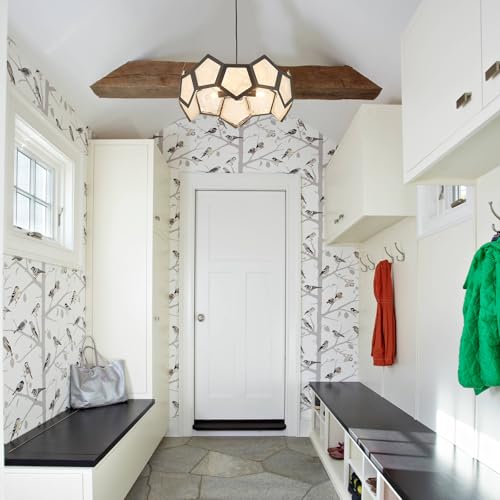 Black Modern Chandelier for Dining Room, 5-Light Glass Chandeliers for Bedroom, Drum Pendant Light Fixtures for Entryway Living Room Hallway Foyer