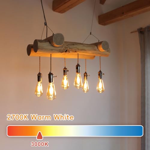 Edison Bulbs E26 LED Bulb 60 Watt Equivalent