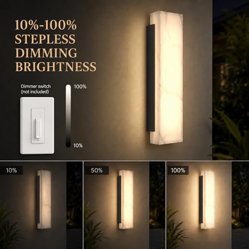 Outdoor Wall Sconce