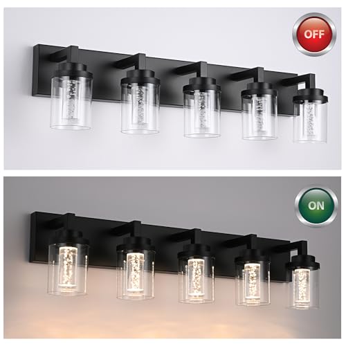 Black LED Vanity Lights for Bathroom 5 Color Temperature
