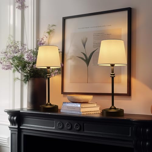 Cordless Table Lamps Set of 2 (2 Count)