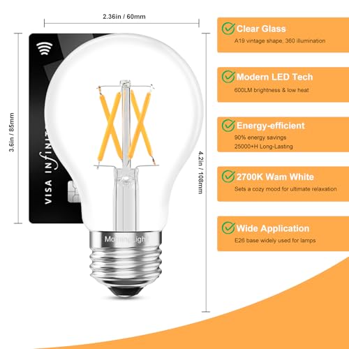 Vintage LED Edison Light Bulbs 60 Watt (6 Count)
