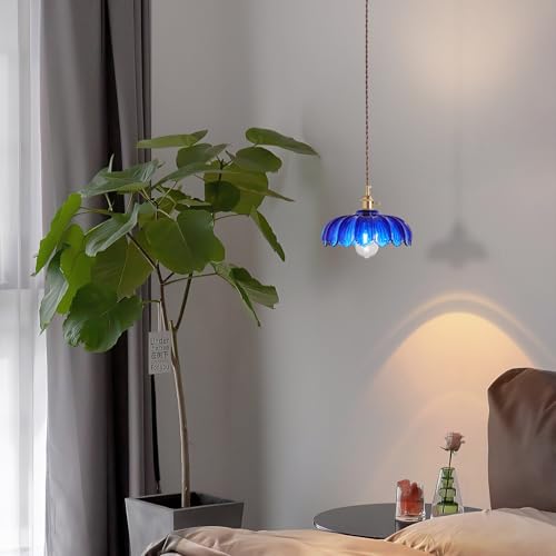 Plug in Pendant Light