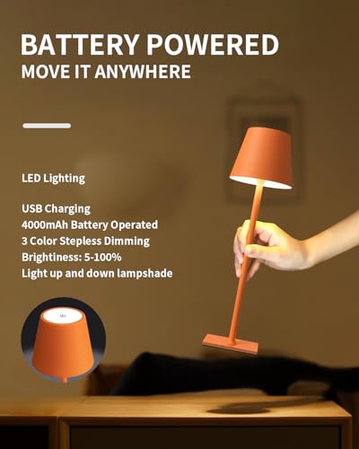 2 Pack Cordless Orange Table Lamps (2 Count)