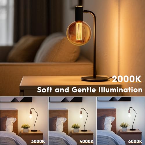Globe Decorative Light Bulb Vintage Edison LED Soft Warm Amber G125