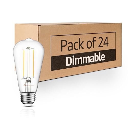 24 Pack Vintage LED Edison Bulbs (24 Count)