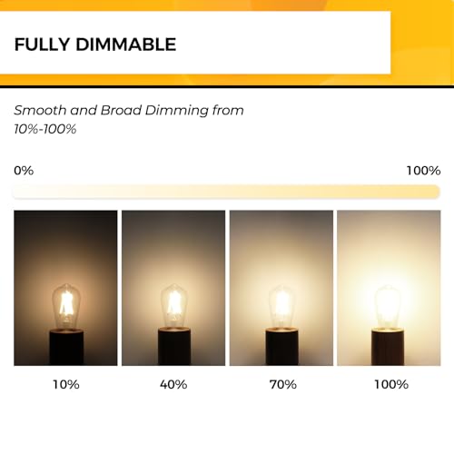 Edison Bulbs Dimmable (18 Count)