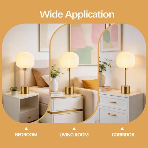 Glass Table Lamp for Living Room